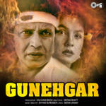 Gunehgar (1995) Mp3 Songs